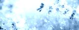 preview cold