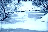 preview cold