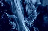 preview cold