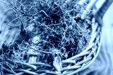 preview cold