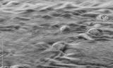 preview bw