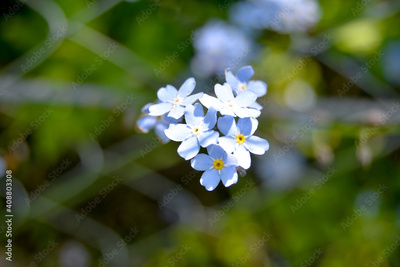 image to crop
