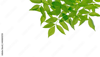 image to crop