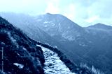 preview cold