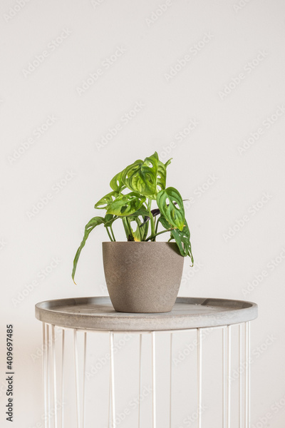 image to crop
