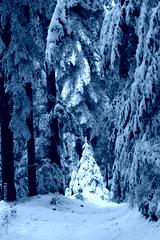preview cold