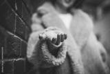 preview bw