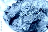 preview cold