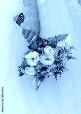 preview cold