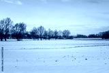 preview cold