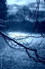 preview cold