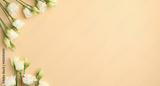 preview original