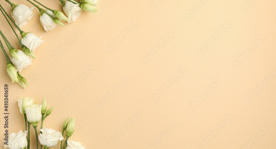 image to crop