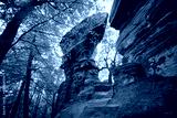 preview cold