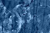 preview cold
