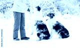 preview cold