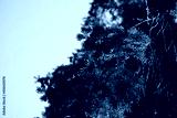 preview cold