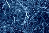 preview cold
