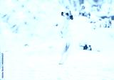 preview cold