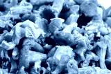 preview cold