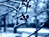 preview cold