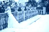 preview cold