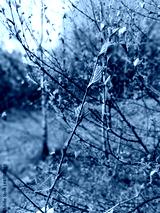preview cold