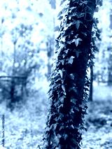 preview cold