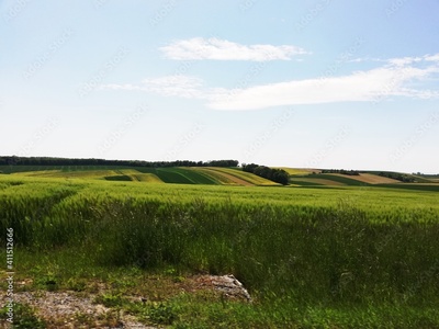 image to crop