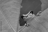 preview bw