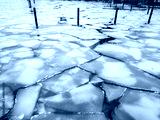 preview cold