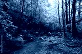 preview cold