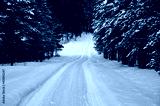 preview cold