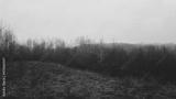 preview bw