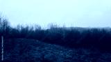 preview cold