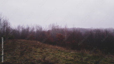 image to crop