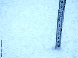 preview cold