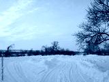 preview cold