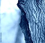 preview cold
