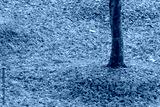 preview cold