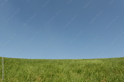 image to crop