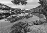 preview bw