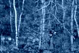 preview cold