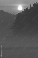 preview bw