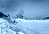 preview cold