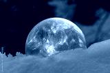 preview cold