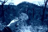 preview cold