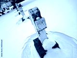 preview cold