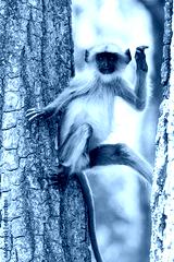 preview cold