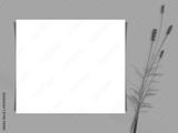 preview bw